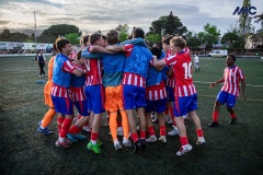 MIC25_ATM_CHE_DS-101