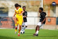 MIC26_U16_CANARIOS_WOSPAC-09