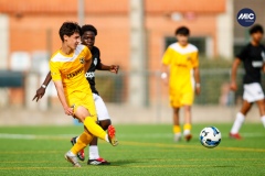 MIC26_U16_CANARIOS_WOSPAC-16