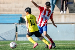 MIC25_DijousMati_AF-28