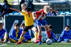 MIC25_DijousMati_AF-31