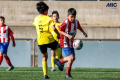 MIC25_DijousMati_AF-34