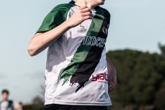 MIC26_CEVILASSARDEDALTUG67_2