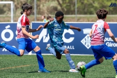 MIC25_DijousMati_AF-150