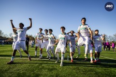 MIC26_DISSABTE_CHE_ROM-10