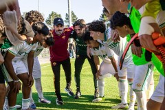 MIC26_DISSABTE_CHE_ROM-29