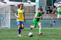 MIC25_DijousMati_AF-109