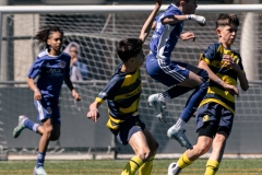 MIC25_U13_DUTCHCONNECTIONSFC_NKBRINJEGROSUPLJE_24