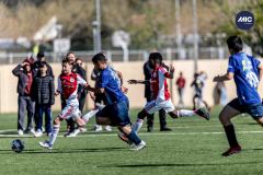 MIC26_MIC26__IC12736