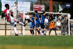 MIC26_MIC26__IC12806