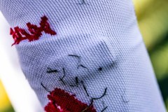 MIC26_MIC26__IC12910