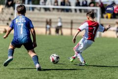 MIC26_MIC26__IC12923