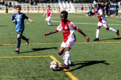 MIC26_MIC26__IC12975