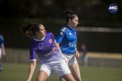 MIC24_F19_FEGRAMA_SANTACF_RG_05