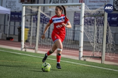 MIC22_U20F_ESP_FEG_DS-48