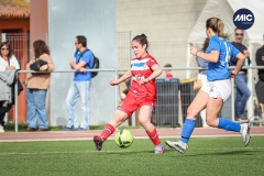 MIC22_U20F_ESP_FEG_DS-55
