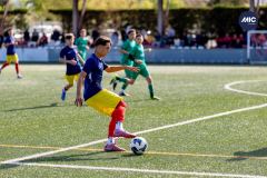 MIC26_MIC26__IC13412