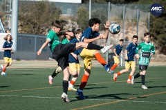 MIC26_FCANDORRA_CFPERALADA_ALBERTFERNANDEZ_WEB-2