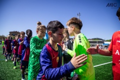 MIC25_FCB_ALB_DS-1