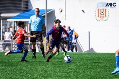 MIC25_FCB_ALB_DS-19