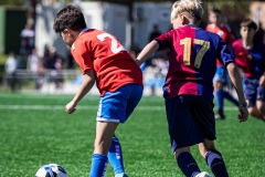 MIC25_FCB_ALB_DS-25