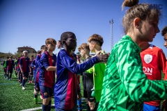 MIC25_FCB_ALB_DS-3