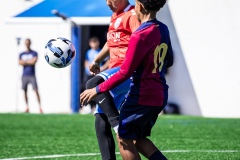 MIC25_FCB_ALB_DS-33