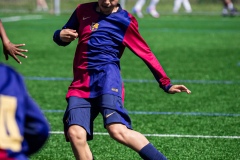 MIC25_FCB_ALB_DS-50