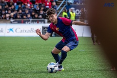 MIC25_FCB_ARS_DS-101