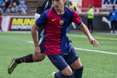 MIC25_FCB_ARS_DS-102