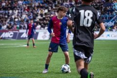 MIC25_FCB_ARS_DS-103