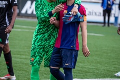 MIC25_FCB_ARS_DS-110