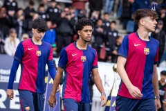 MIC25_FCB_ARS_DS-33