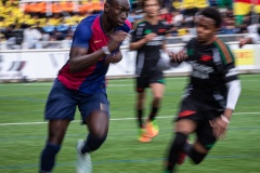 MIC25_FCB_ARS_DS-76