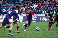 MIC25_FCB_ARS_DS-81