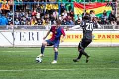 MIC25_FCB_ARS_DS-87