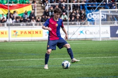 MIC25_FCB_ARS_DS-88