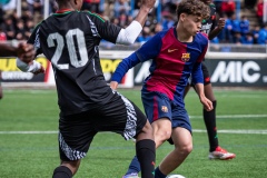 MIC25_FCB_ARS_DS-92