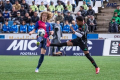 MIC25_FCB_ARS_DS-95