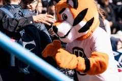 MIC26_FCBROMA_U16_43