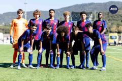 MIC26_MIC26__IC17676