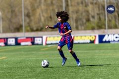 MIC26_MIC26__IC17826