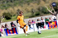 MIC26_MIC26__IC18098