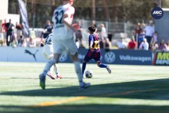 MIC26_MIC26__IC18133