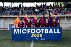 MIC25MIC25VC107544