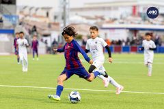 MIC26_MIC26__IC11953