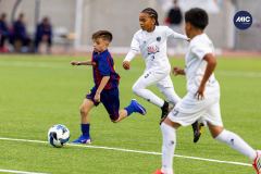 MIC26_MIC26__IC12022