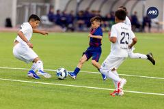 MIC26_MIC26__IC12027