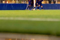 MIC26_MIC26__IC12076