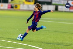 MIC26_MIC26__IC12115